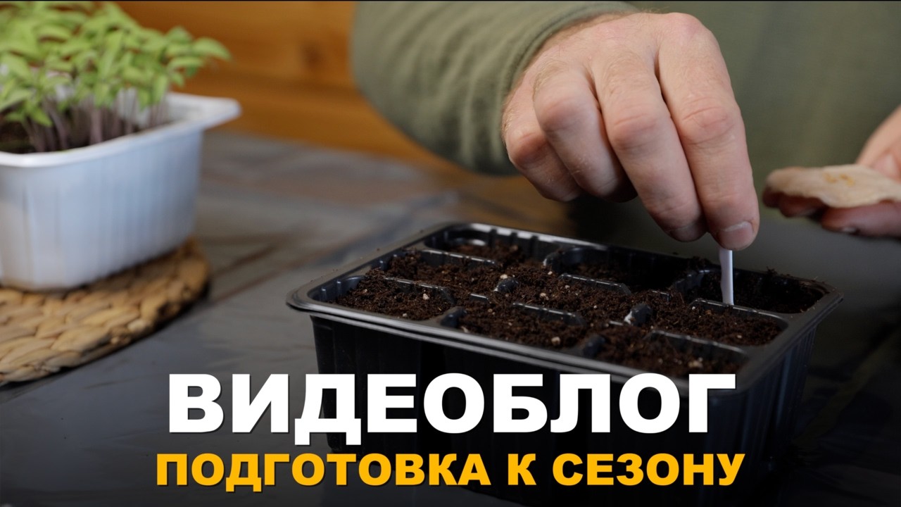 ВИДЕОБЛОГ: ПОДГОТОВКА К СЕЗОНУ И ДРУГИЕ ХЛОПОТЫ. Работы в доме и на участке в зимний период.