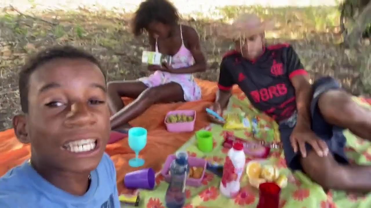 UM DIA MUITO ALEGRE NA ROÇA, DIA DE PIQUENIQUE E SURPRESAS