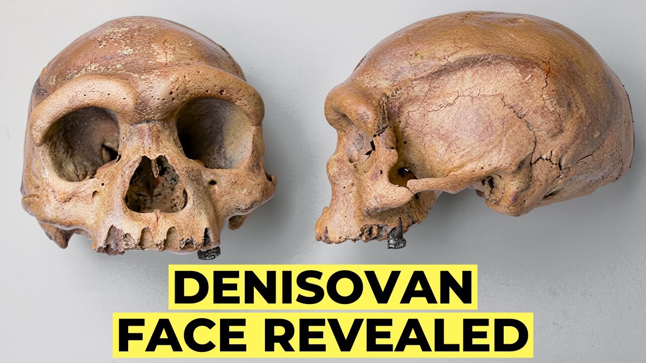 Ancient DNA Finally Reveals the REAL Face of Denisovans