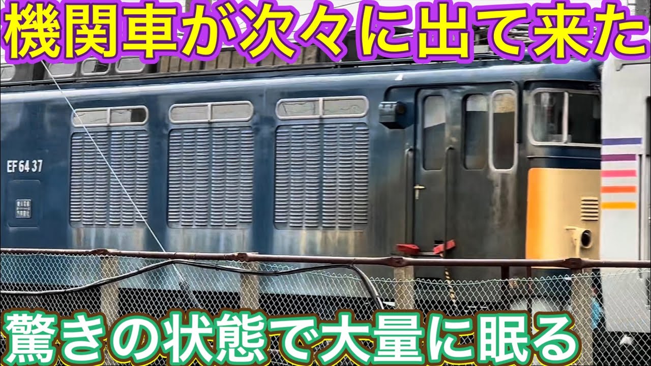 引き摺られて目の前に大移動？！墓場で見られた引退済みの赤い塊とは