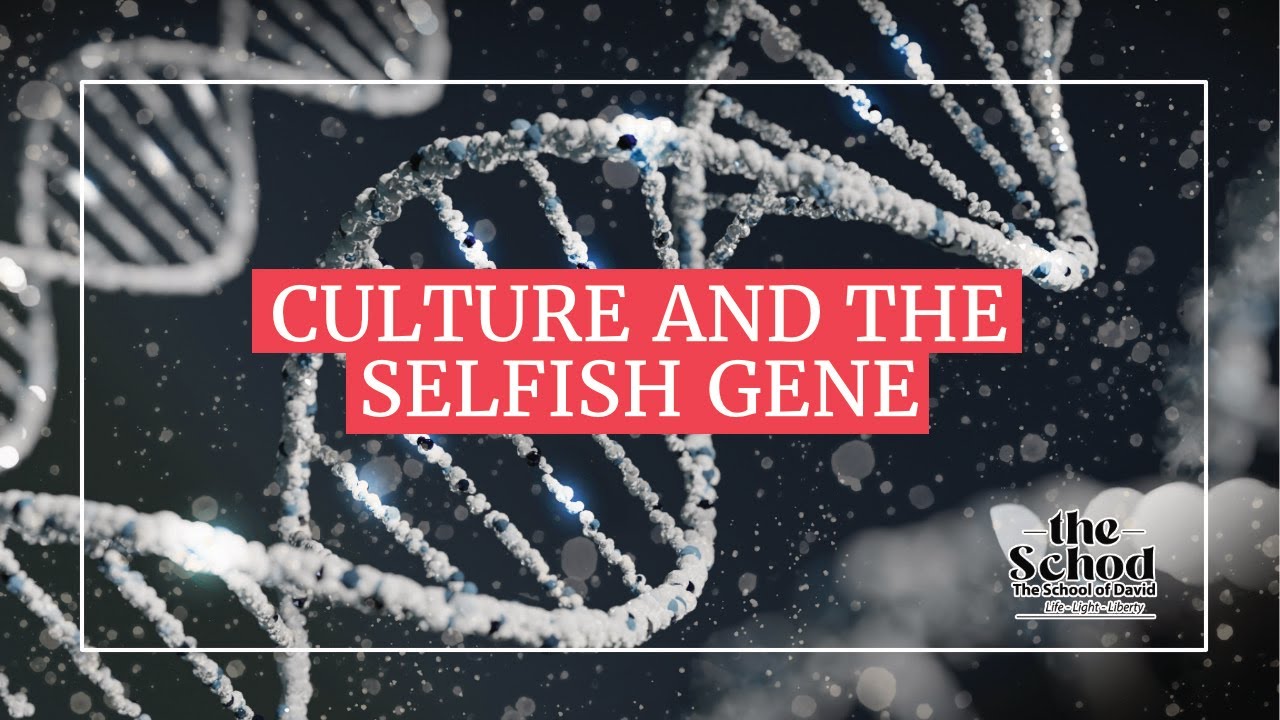 EDEN ECONOMICS : HOW GOD DESIGNED HUMANS TO CULTIVATE CULTURE - DP MAVIA