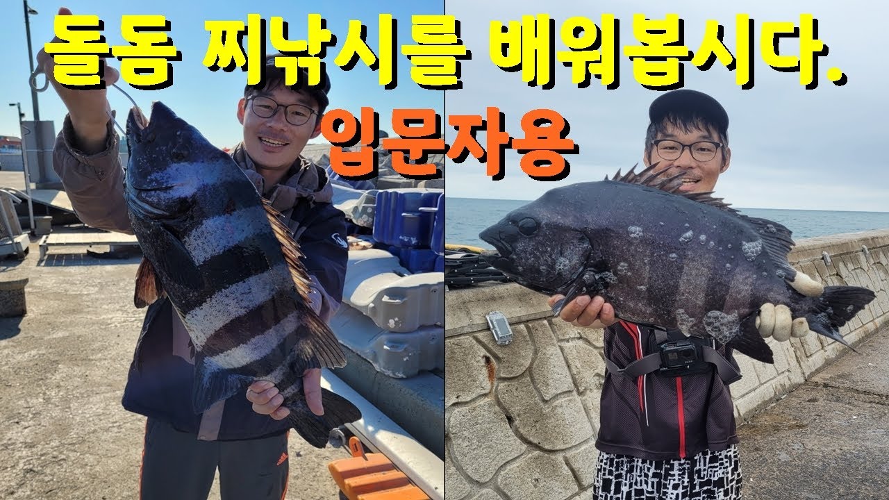 돌돔 찌낚시 입문자를 위한 영상. 돌돔 6짜를 잡아보자! (ft. 구독자 5천명 이벤트 안내)
