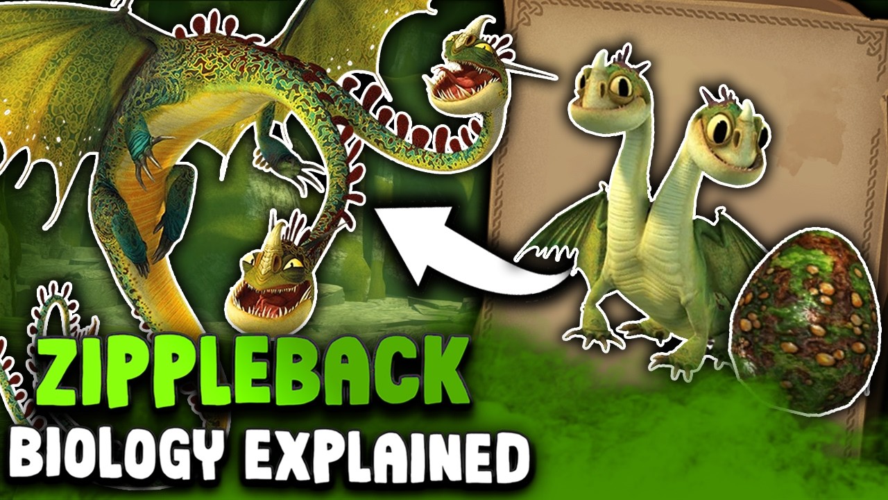 Биология Zippleback 🐉🐉 | Тайны «Как приручить дракона»: двуглавый зверь