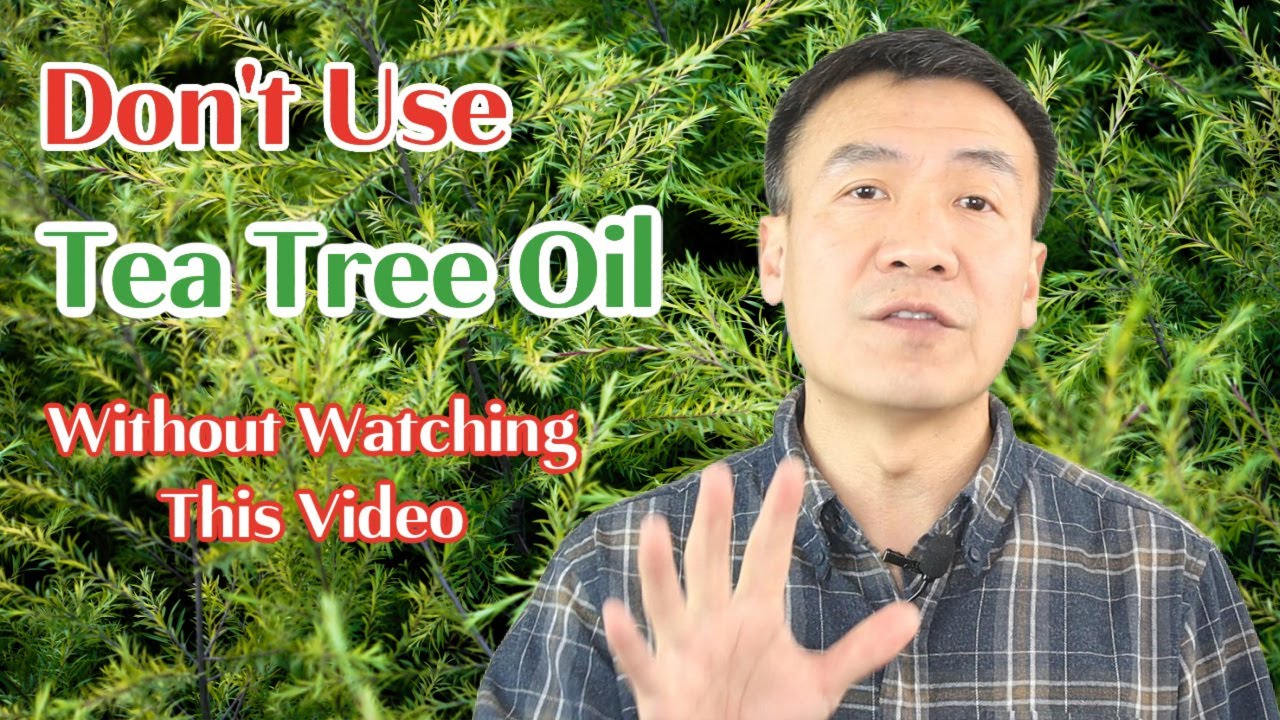 Tea Tree Oil: Benefits, Uses and Safety. How to Use Tea Tree Essential Oil. Caution Using TTO
