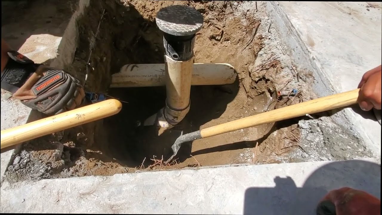 Got my snake stuck in the sewer - Part 2