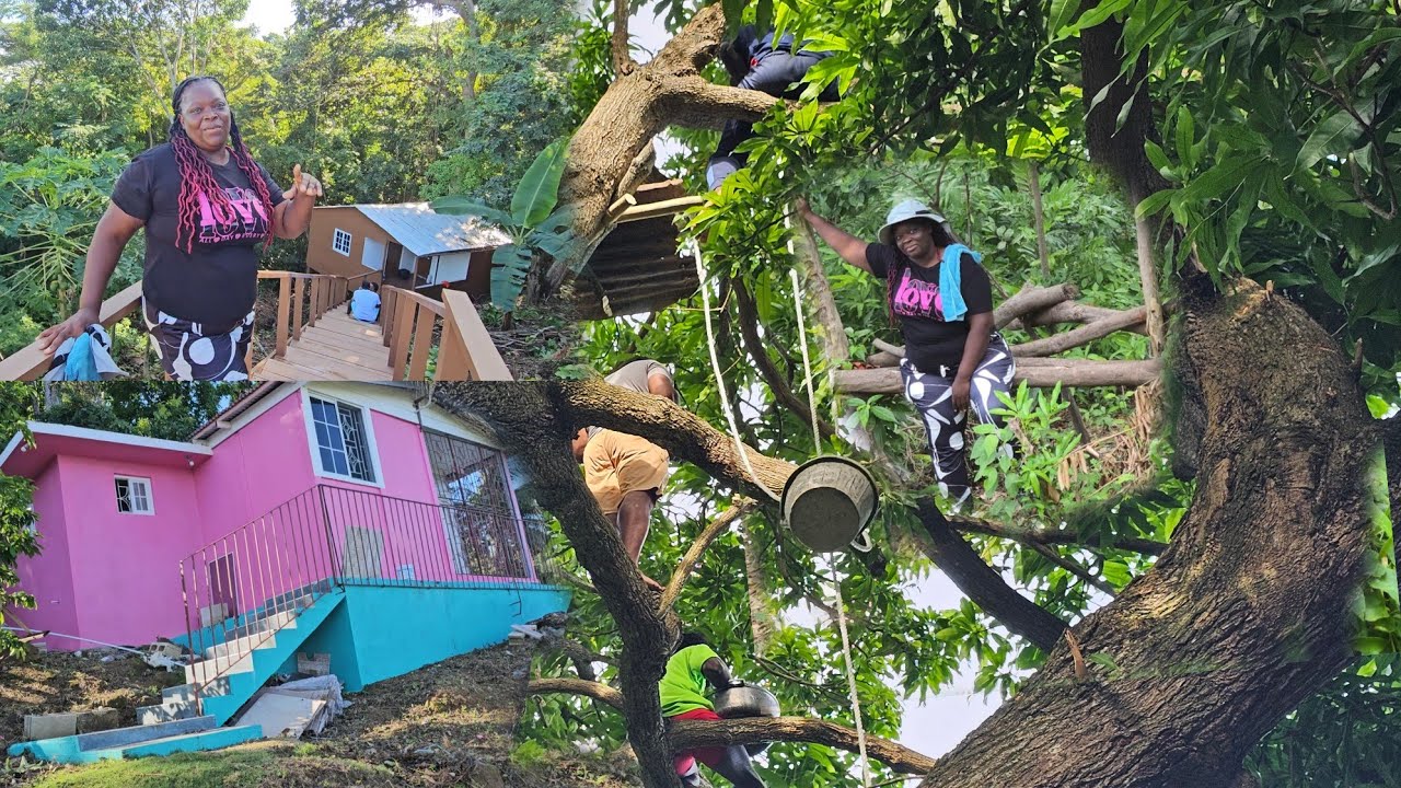 Я съездила в домик Колаз Смит и розовый дом, а ещё он приготовил кокосовые клецки на верхушке дер...