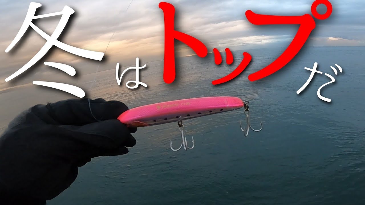 [ラピードF130]冬にトップを投げたら青物が釣れた日[ライトショアジギング]