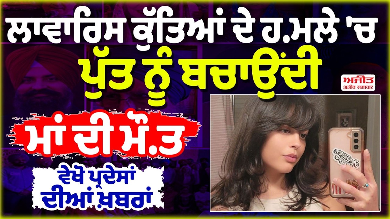 ਲਾਵਾਰਿਸ ਕੁੱਤਿਆਂ ਦੇ ਹ.ਮਲੇ 'ਚ ਪੁੱਤ ਨੂੰ ਬਚਾਉਂਦੀ ਮਾਂ ਦੀ ਮੌ.ਤ, ਵੇਖੋ ਪ੍ਰਦੇਸਾਂ ਦੀਆਂ ਖ਼ਬਰਾਂ