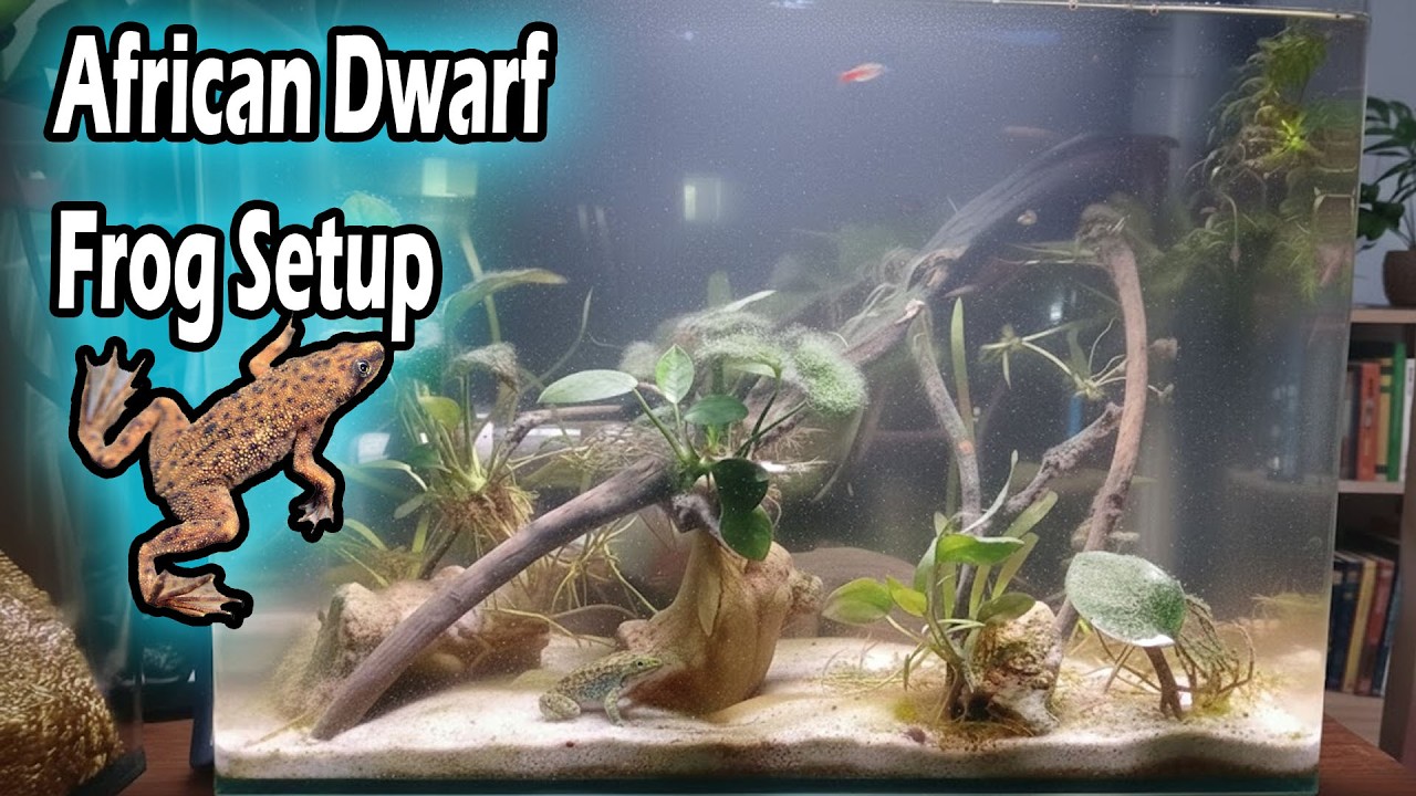 ADF Nano Tank Build: From Empty Glass to Frog Paradise