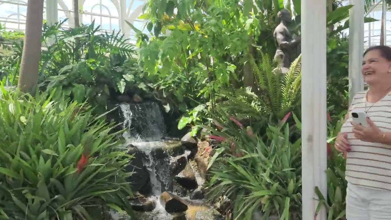 Jardin botânico  curitiba 