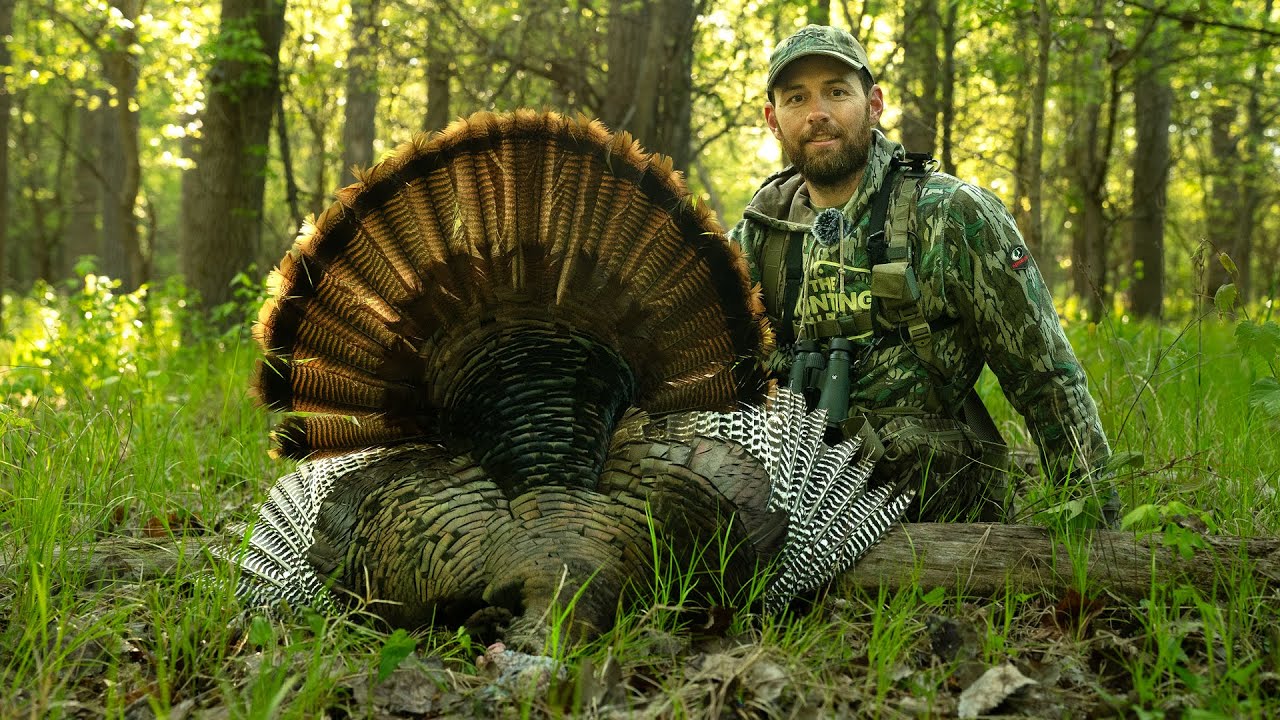 SWAMP Gobblers!!! - (Public Land Turkey Hunting)