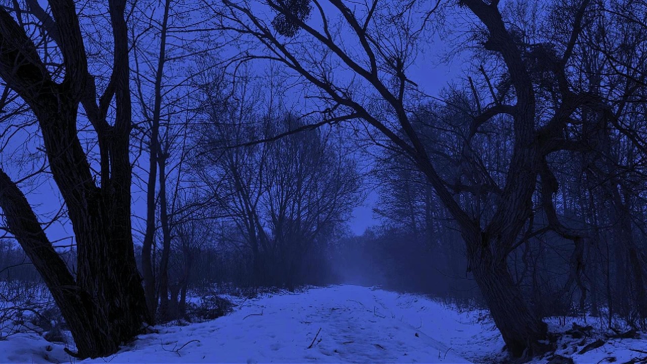 ...you’re still here tonight