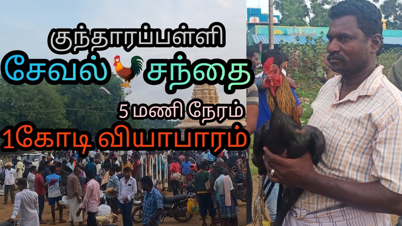 Kundharapalli Friday Open Market | குந்தாரப்பள்ளி கோழி சந்தை வெள்ளிசந்தை|ஆடு|மாடு சேவல்|சந்தை|market