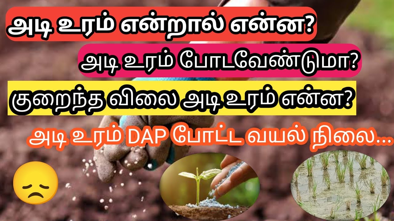 அடி உரம் தேவையா? தேவை இல்லையா? அடி உரம் vs மேல் உரம் | Crop types of fertilizers