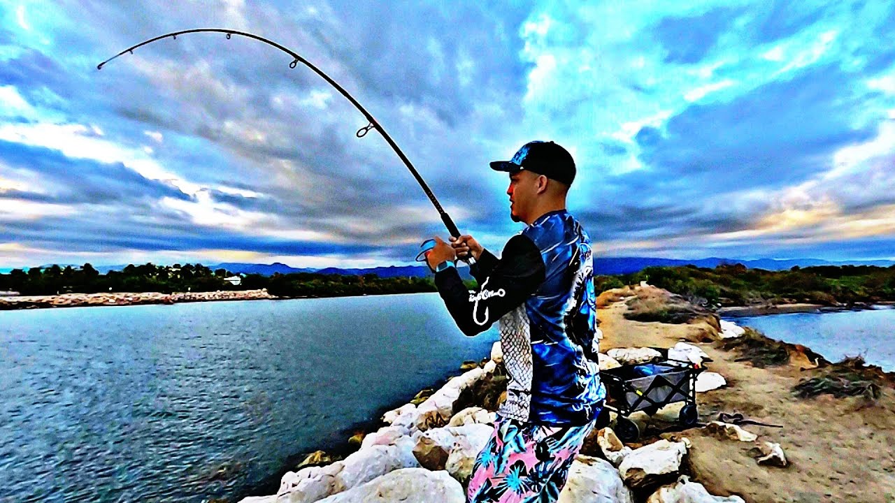Pescado en Puerto Rico ( ponce) #pargos #mantarraya