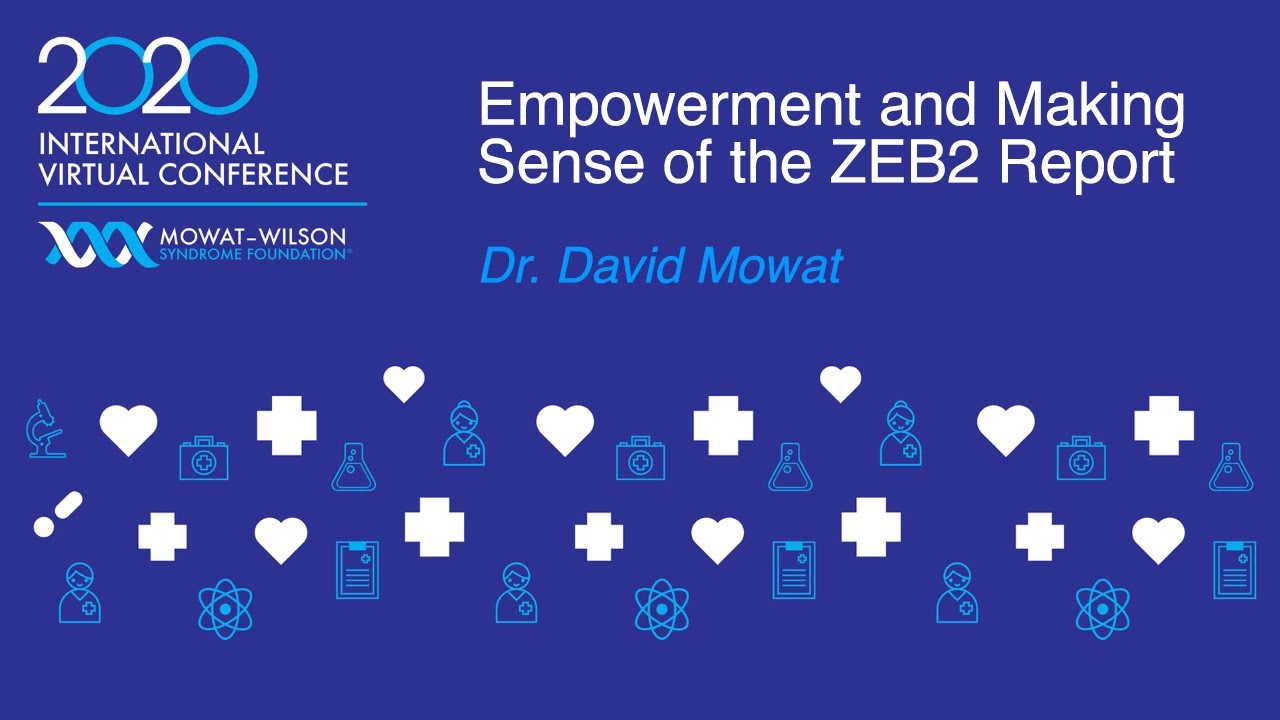 Empowerment and Making Sense of the ZEB2 Report - Dr. David Mowat