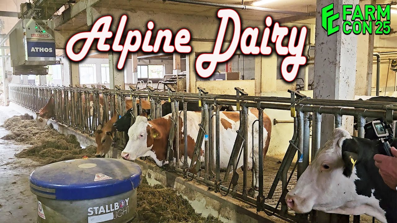VISITING A DAIRY IN THE AUSTRIAN MOUNTAINS at FARMCON25