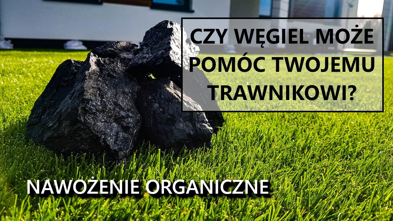 NAWOŻENIE ORGANICZNE (trawnik, wiosenne nawożenie trawnika, kwasy humusowe, nawożenie dolistne)