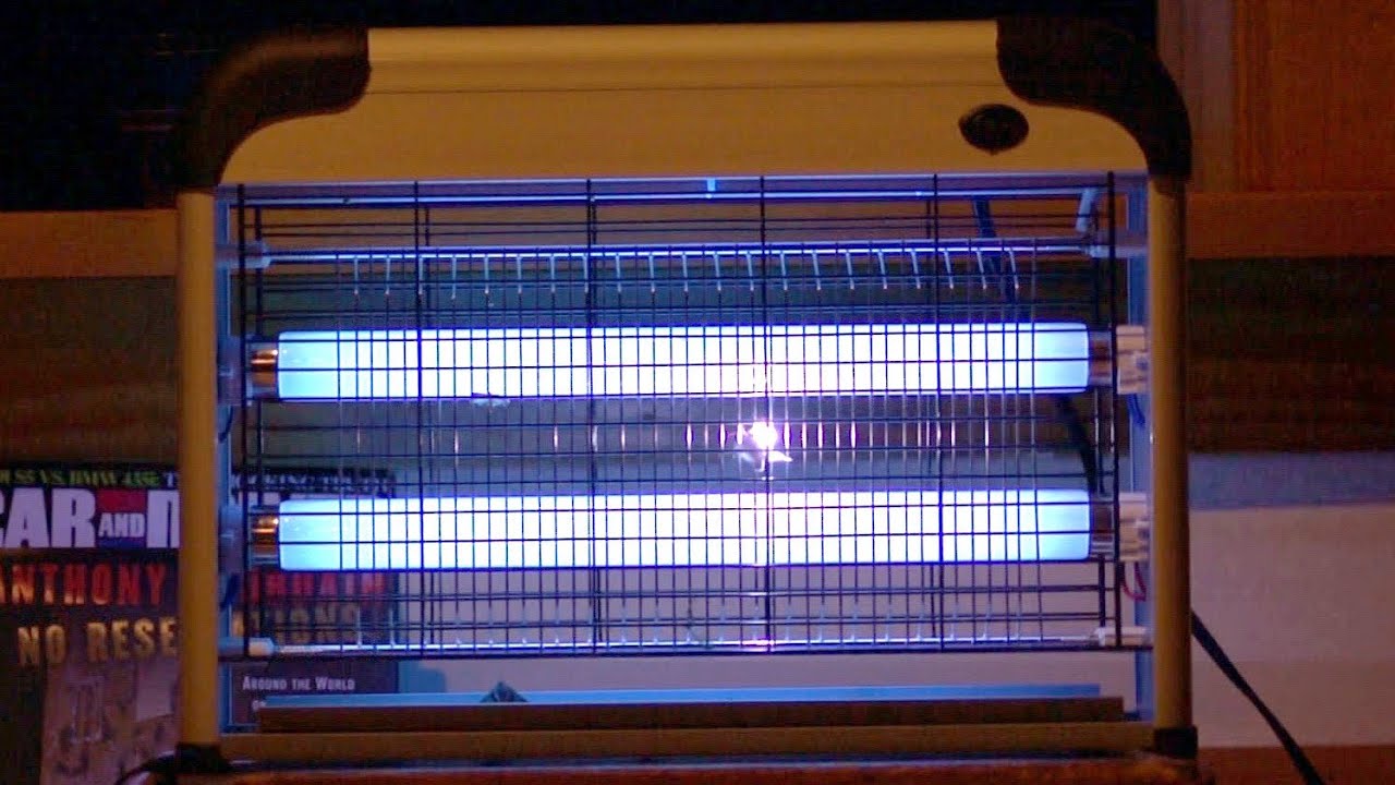 Уничтожитель насекомых Aspectek для помещений в действии — полный тест и обзор