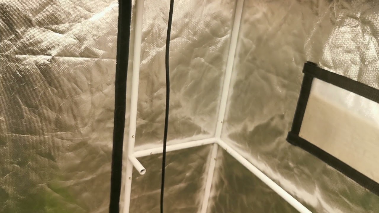 MarsHydro SP-3000 Killer Purps Mango Pie Super Lemon Haze White Widow Bomb