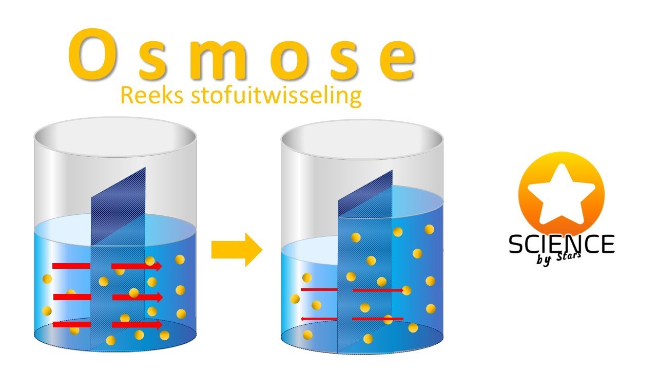 Osmose - stofuitwisseling