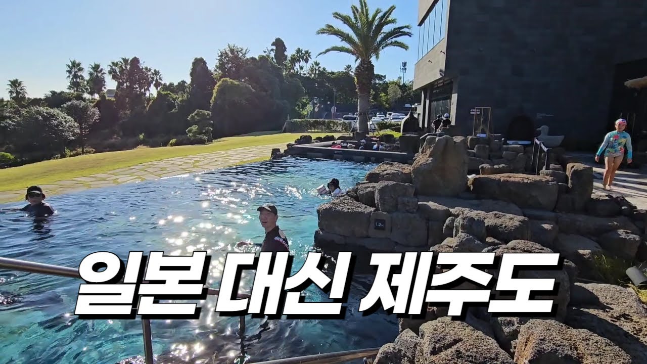 일본 대신 제주도로 당일치기 여행하는 F감성 40대 vlog FT. 제주도는 무조건 바가지?