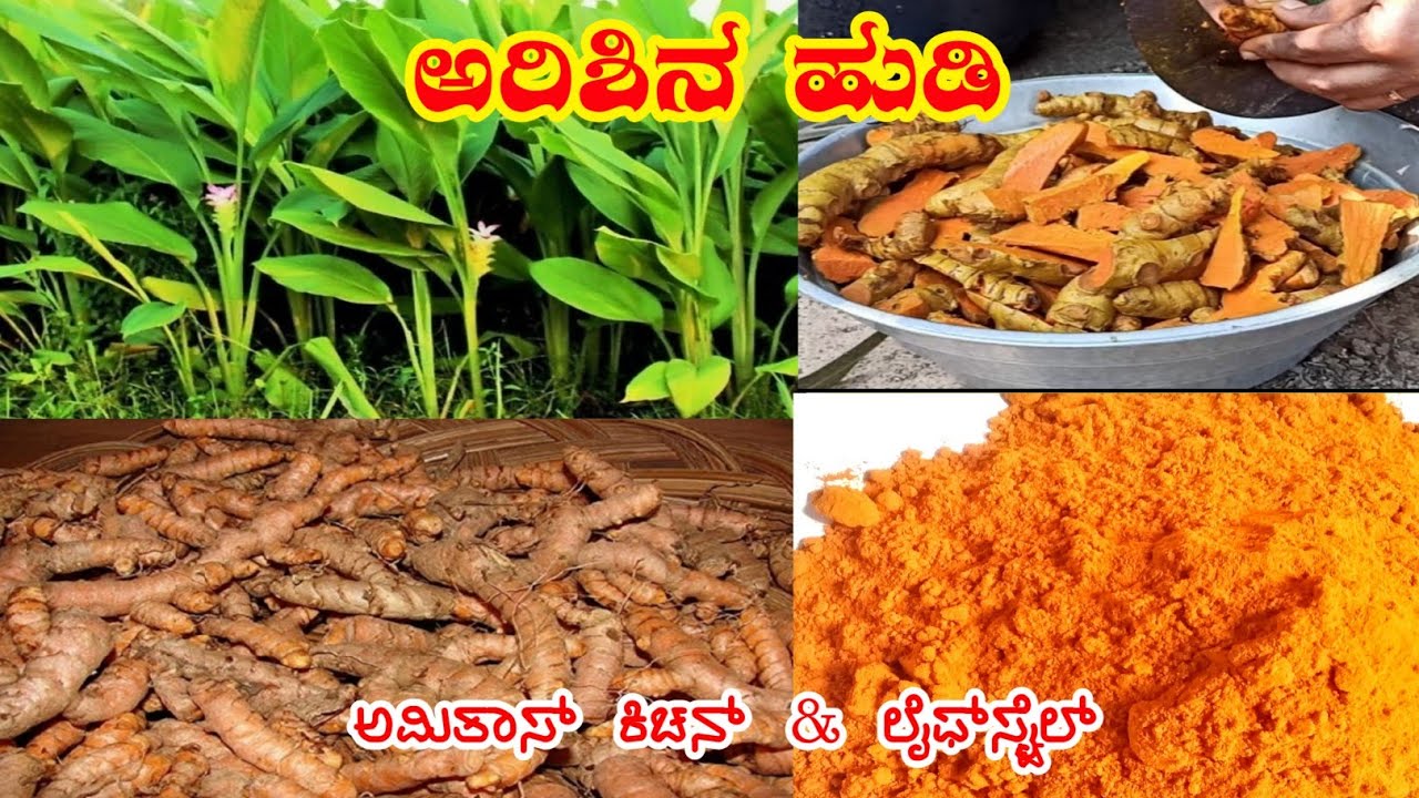How to make Turmeric powder | ಅರಿಶಿನ ಹುಡಿ ಮಾಡುವ ವಿಧಾನ - ಕನ್ನಡ ವ್ಲೋಗ್ | Amitha's Kitchen