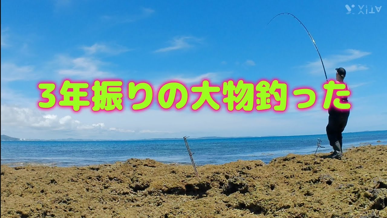 70オーバーも狙える神ポイント‼️　#魚釣り #沖縄県魚釣り #打ち込み釣り #ハタ #ミーバイ
