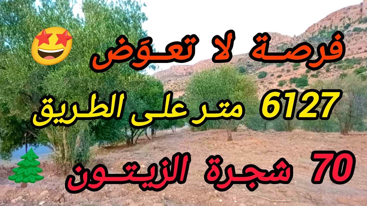 2025/8/14 : أرض ملكية عدلية 6127 متر على الطريق الرئيسية 70 زيتونة بثمن 14 مليون .الهاتف  0652902061