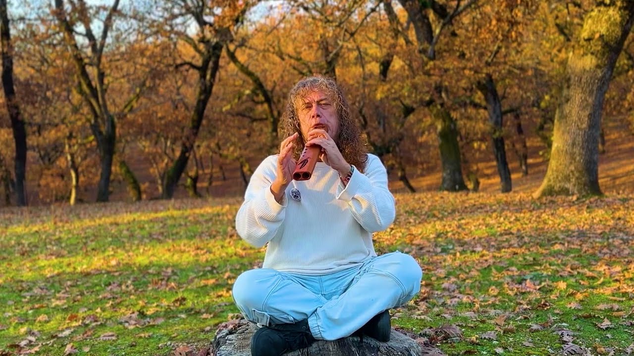Secret Forest of Silence - Native American Flute Music for Sleep