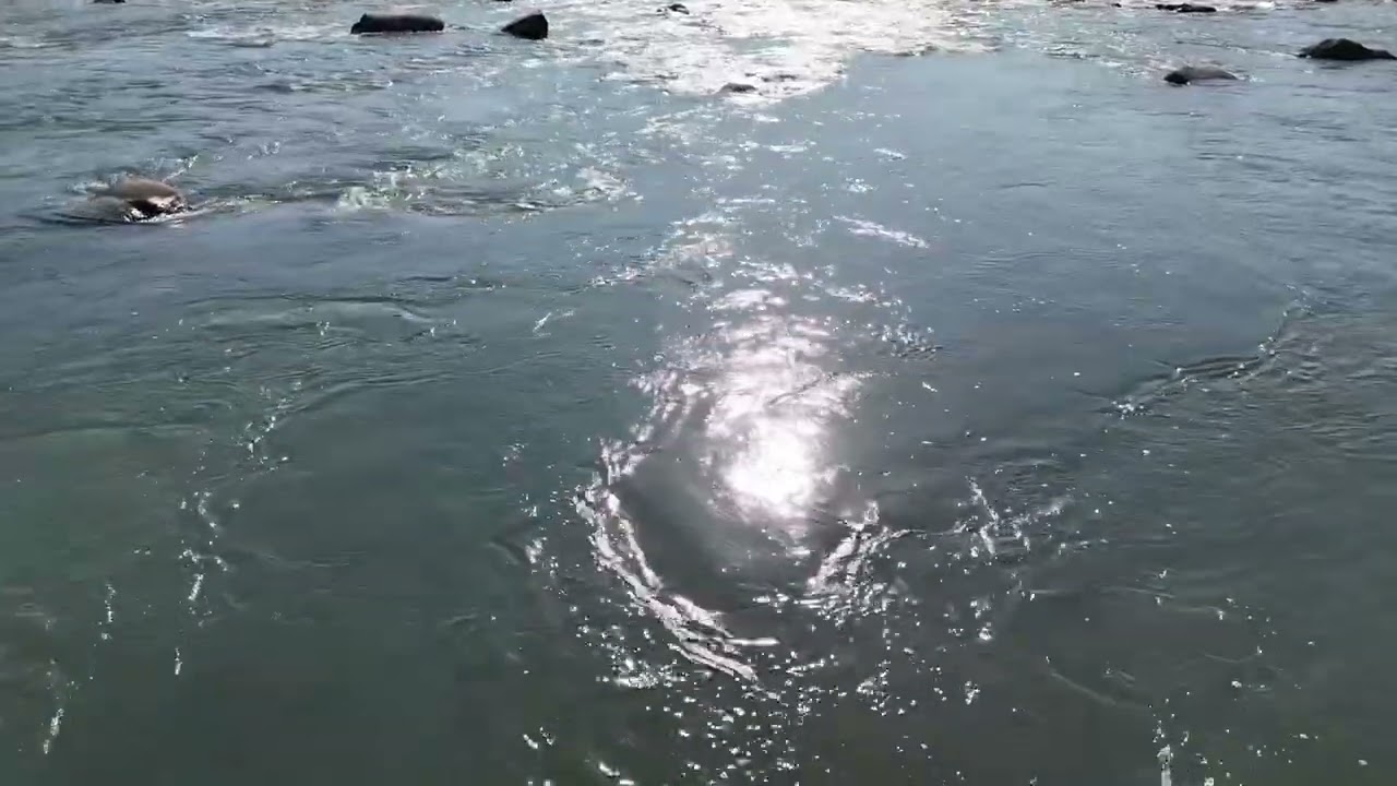 Poonch River, Kotli Azad Kashmir, Dukhari Park