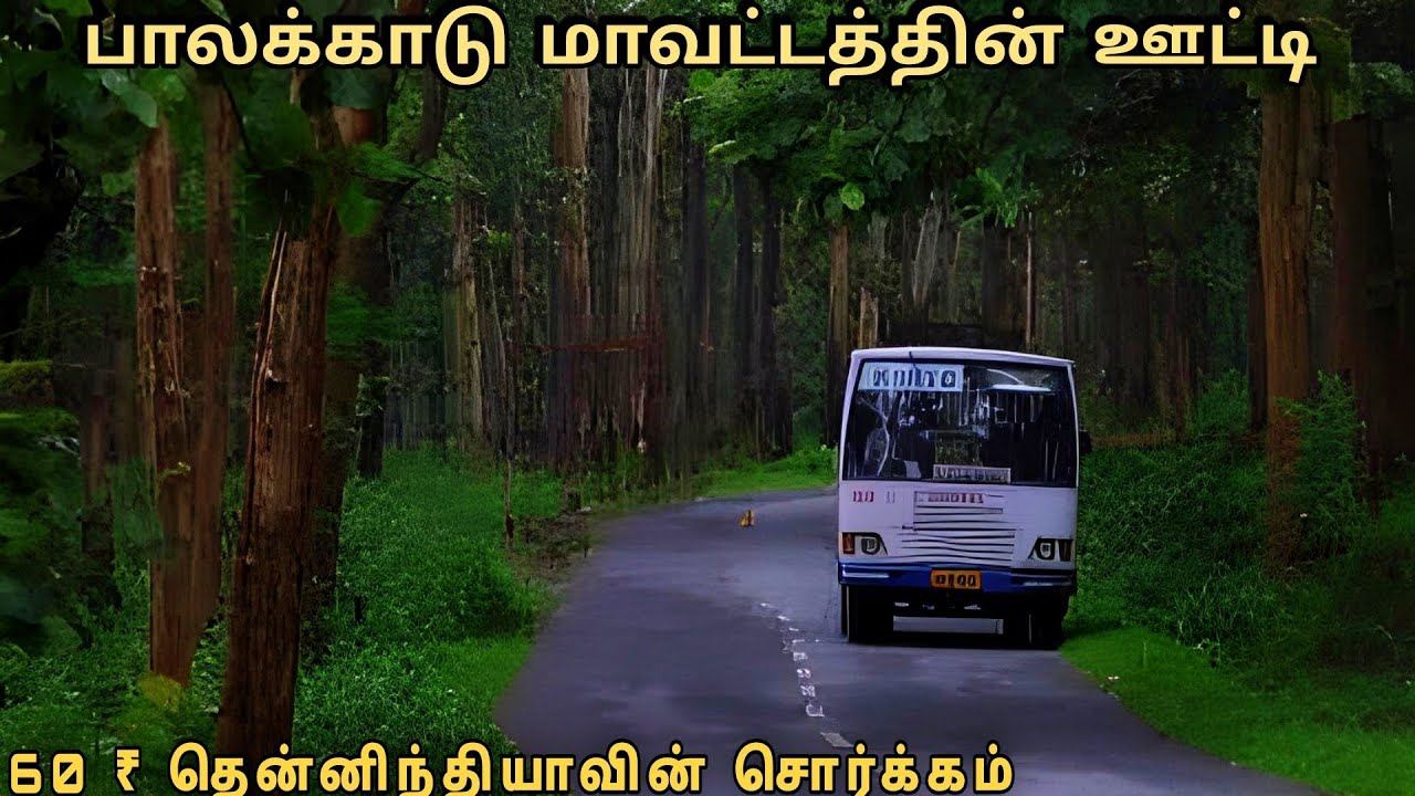 💢 பருவ மழையில்  ஒரு முறையாவது பார்க்க வேண்டிய பகுதி 😍