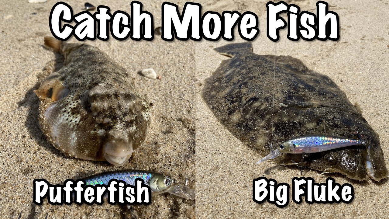 How to Catch More Fish While Surf Fishing! (Best Surf Fishing Tips and Catch n' Cook Keeper Fluke)