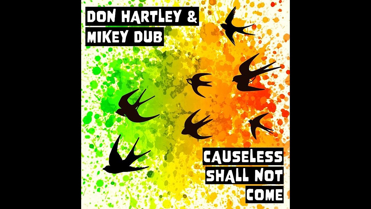 Mikey Dub and Don Hartley  -  Causeless Shall Not Come