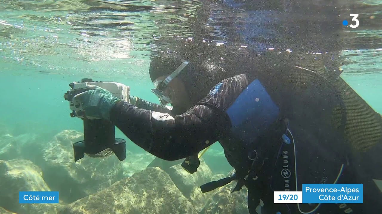 Recherches sous-marines sur le site archéologique d'Olbia à Hyères