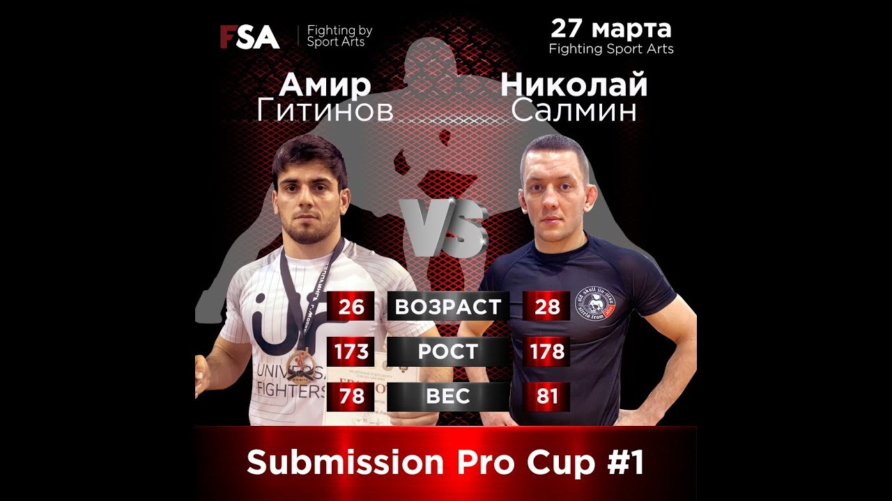 Амир Гитинов vs Николай Салмин