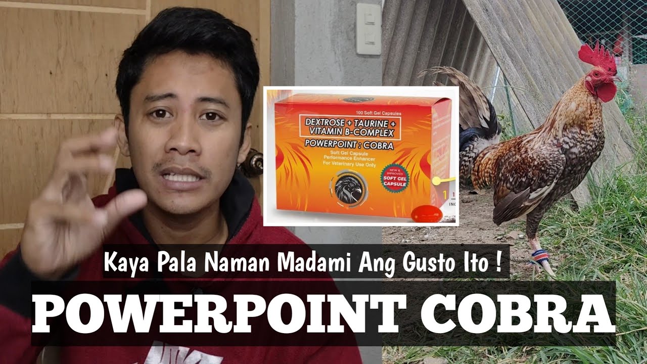 POWERPOINT COBRA | Kaya Pala Andami Nang Gusto Ito | Dapat Nalaman Ko Agad To | Linyada ng Mamay