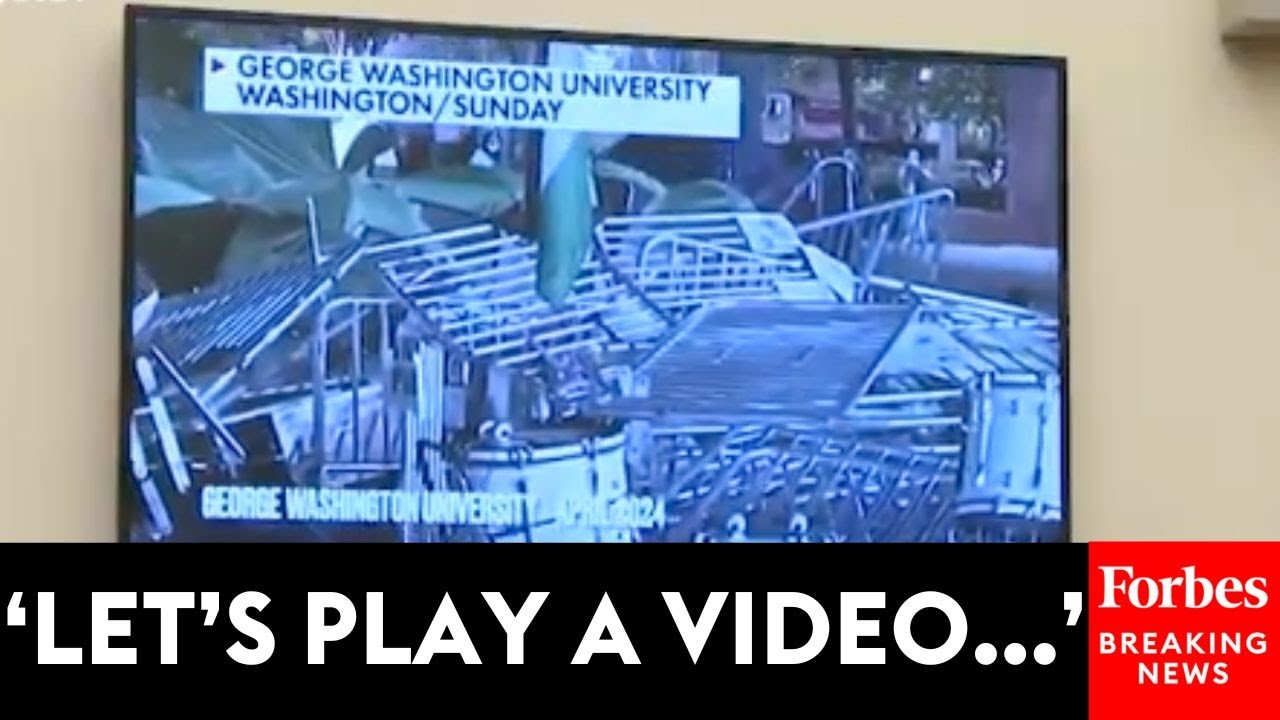 'This Isn't In Gaza... This Is Right Here In Our Country': Fry Plays Video Of Campus Protests