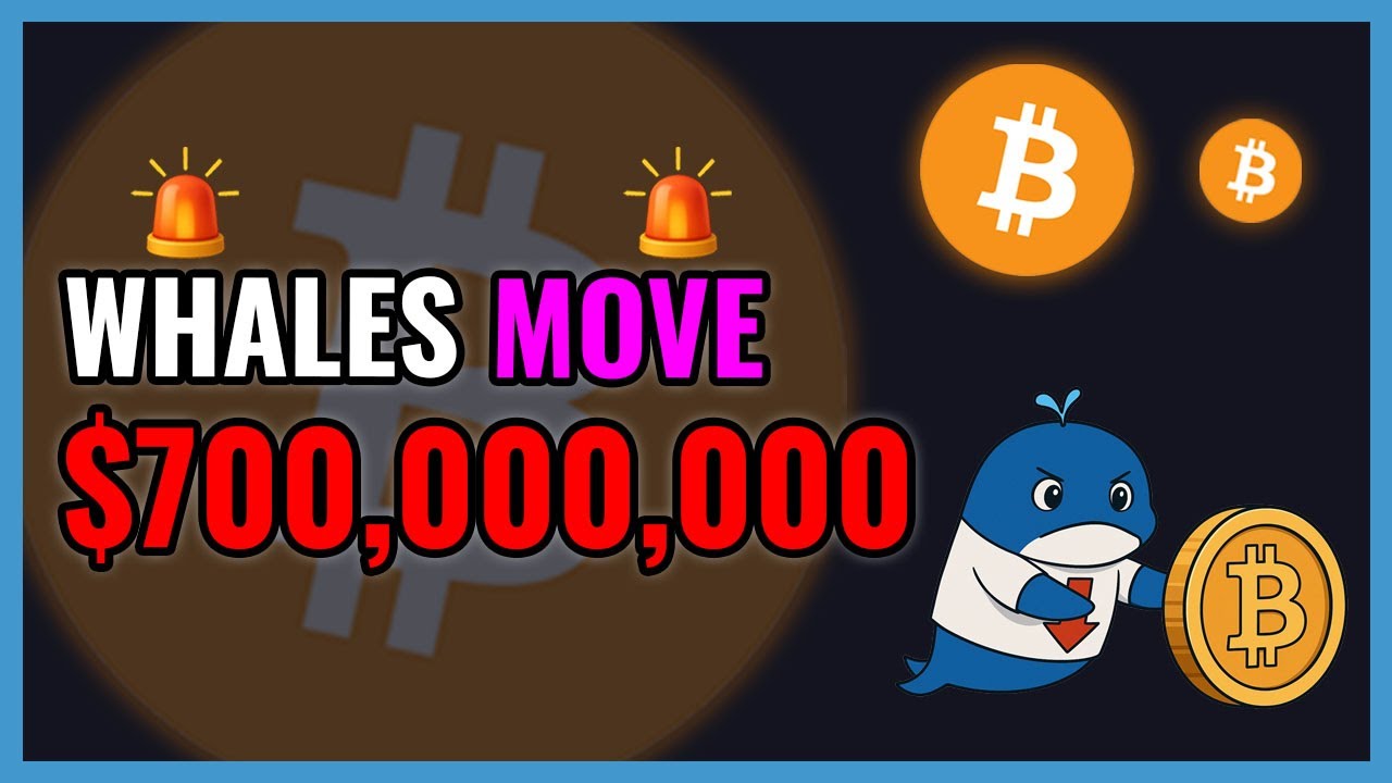 BTC Whales Just Moved $700,000,000!🚨WHALE ALERT