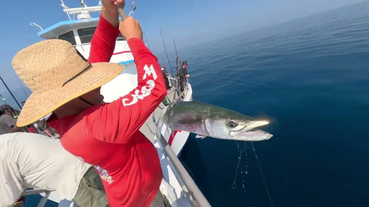 Party Boat Fishing on Orlando Princess Out of Port Canaveral, Florida. Big King Mackeral - Feb, 2023
