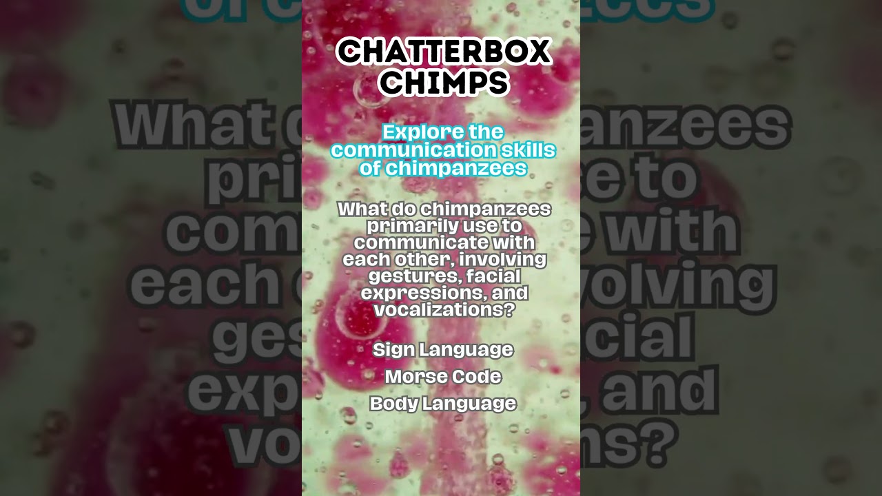 All The Buzz with Chatterbox Chimps #scienceenthusias #scitech