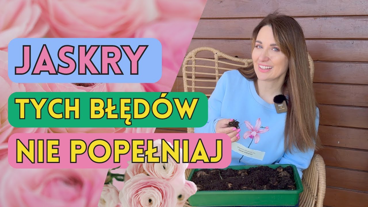 JASKRY AZJATYCKIE  w ogrodzie- JAK UPRAWIAĆ, ABY ŚWIETNIE ROSŁY