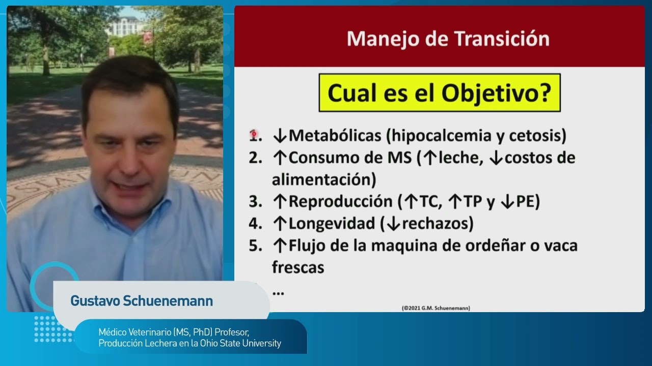 Congreso CAENA - Nutrición en Rumiantes - Gustavo Schuenemann