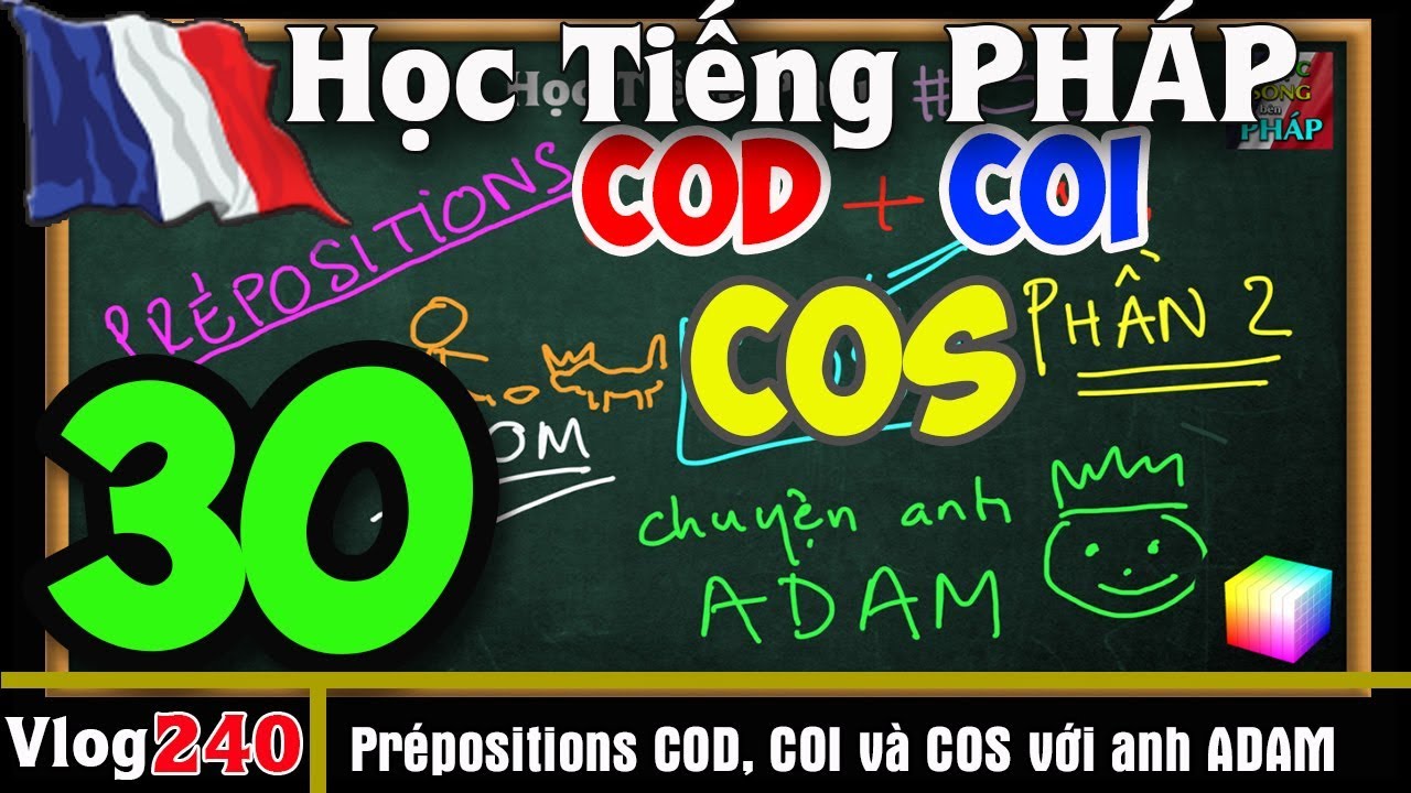 Học Tiếng Pháp # 30 : COD, COI và COS - Chuyện anh ADAM đi chơi PREPOSITIONS và PRONOMS - vlog 240