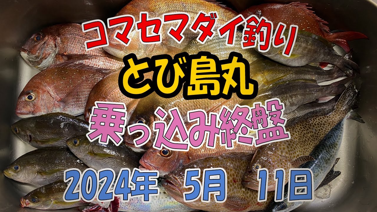 2024.5.11　とび島丸　乗っ込み終盤　コマセマダイ釣り