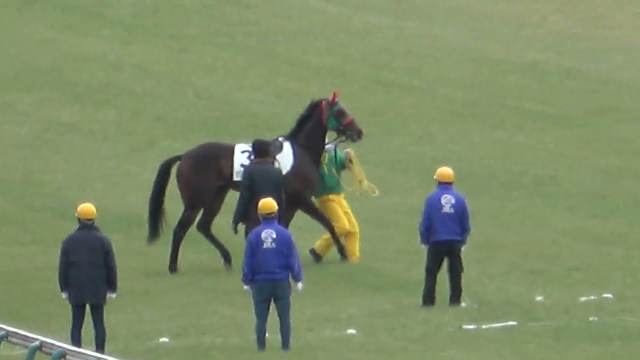 【ハプニング】馬体検査中に他の馬が放馬‼ 現地映像