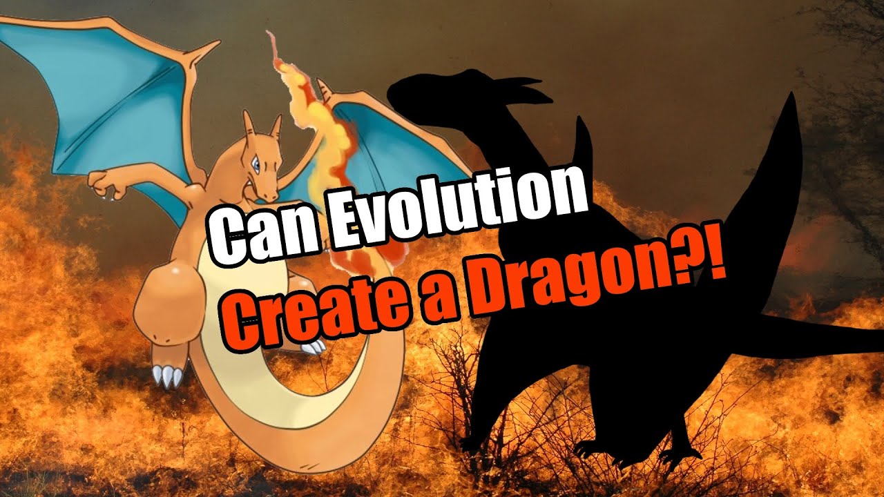 What if Charizard Was Real? - Designing a Biologically Plausible Dragon