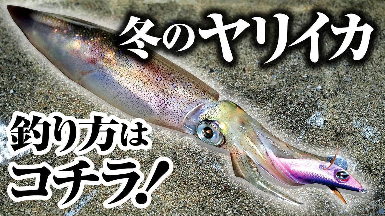 【冬のヤリイカエギング】エギを使ったヤリイカの釣り方がコチラ！