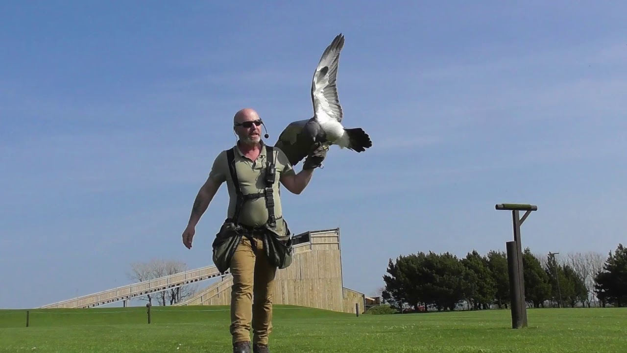The North Devon Birds of Prey Centre, The Milky Way, April 2019