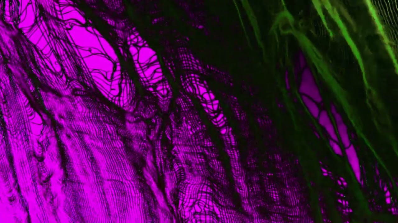 Tattered Curtain Pink Green Halloween 4K Animated Motion Background Wallpaper Screensaver
